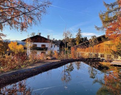 Chalet Ly’s Nest, house on the mountain – with natural swimming pond and well-fenced park