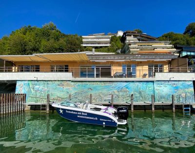 Seestern direkt am See