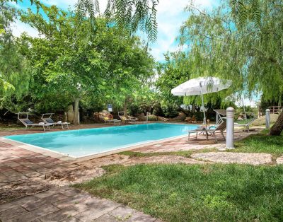 Villa Olive Grove immersed in unspoilt nature